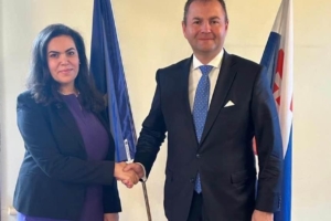 MEETING WITH THE CHAIRMAN OF THE FOREIGN AFFAIRS COMMITTEE