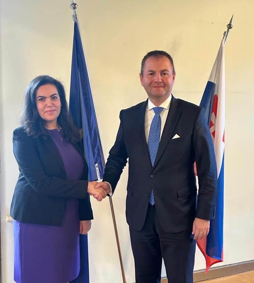 MEETING WITH THE CHAIRMAN OF THE FOREIGN AFFAIRS COMMITTEE