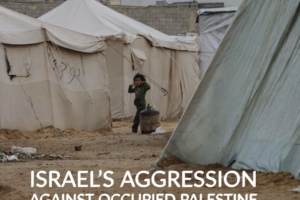 Israel’s Aggression Against Occupied Palestine  January 2024