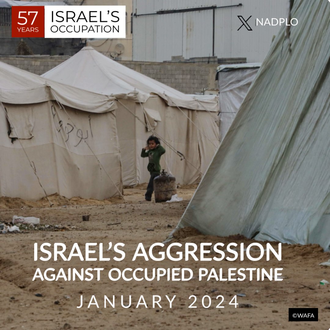 Israel’s Aggression Against Occupied Palestine  January 2024
